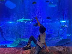 -沈阳海洋探索中心