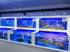 -小海丁