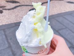 -柠檬车露(卖草地店)