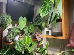 -如果·追梦手工皮具DIY教学店(田子坊店)