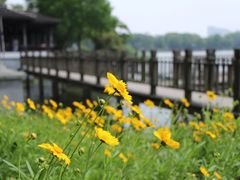 -高子水居