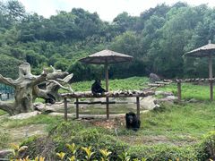 -宁波野生动物园