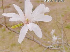-陕西省西安植物园