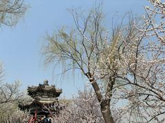 -颐和园