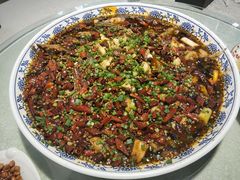 -新概念来凤鱼(璧山店)