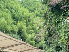 -将军关探险漂流