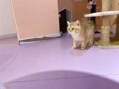 -极木²邸 人与宠物·互动社区