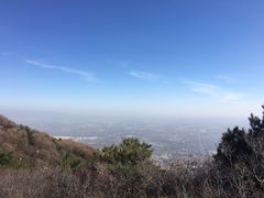 -阳台山自然风景区