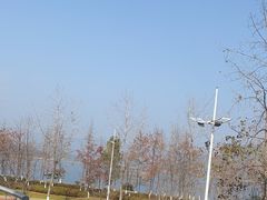 -宝荣鱼馆·临湖之宴(千岛湖店)