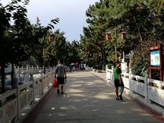 -林海公园
