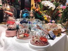 -谷莠子花艺·气球派对·绿植造景·花艺沙龙(金光华广场店)