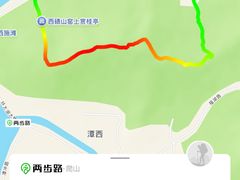 -苏州市吴中区光福窑上花果蜜饯厂