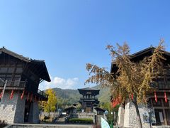 -大唐贡茶院