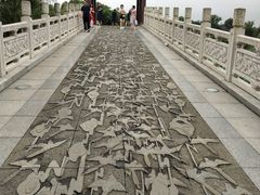 -东湖落雁景区