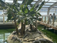 -石家庄市动物园