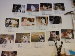 -平行世界·猫咖(首经贸店)
