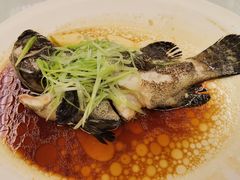 鲈鱼-大益膳房(华腾科技大厦店)