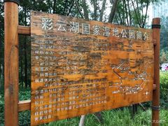 -重庆彩云湖湿地公园