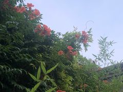 -Tubestation站点比萨(五道营店)