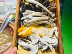 当季野生菌六拼-菌小白·野生菌火锅(时尚天河店)