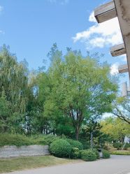 -将府公园儿童游乐场