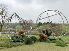 -东平国家森林公园