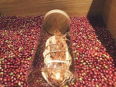 -炖物24章·顺时轻养茶(杭州保利时光里店)