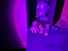 -567·密室逃脱(大良店)