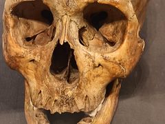 -北京周口店北京人遗址博物馆