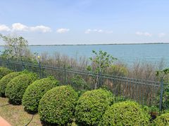 -江滩湿地公园