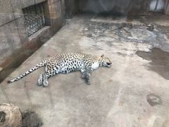 -西安秦岭野生动物园