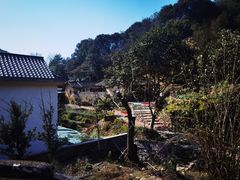 -雁南飞茶田景区