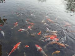 -天目湖涵田半山温泉水乐园
