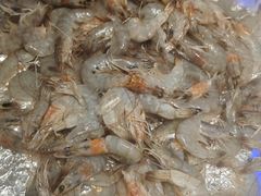 -巴犀烧烤(新崇光店)