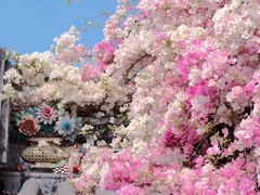 -深圳国际园林花卉博览园