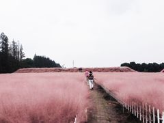-嘉北郊野公园