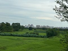 -盘龙城国家考古遗址公园