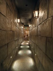 -翱翔飞越地平线