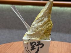 -野人先生现做冰淇淋(北京环宇荟店)