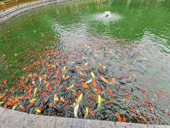 -荣国府