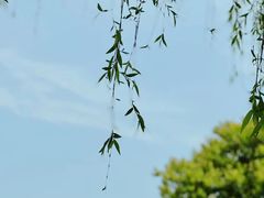 -梁鸿国家湿地公园