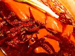 红锅-王婆乔鲜鱼自助火锅(蜀汉路店)