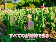 -长春公园(普阳街道)