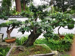 -成都杜甫草堂博物馆