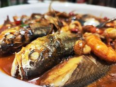 -宝燕壹号(长寿店)