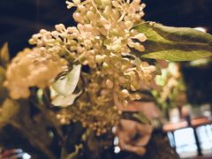 -胡桃里音乐酒馆(四道口店)