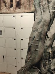 -探洞工场(丰科万达旗舰店)