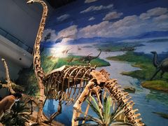 -自贡恐龙博物馆