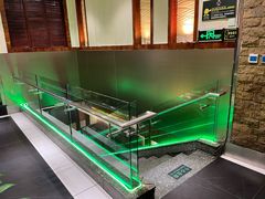 -三强鸽子(中原路店)