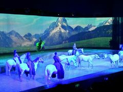 -cavalia·舞马